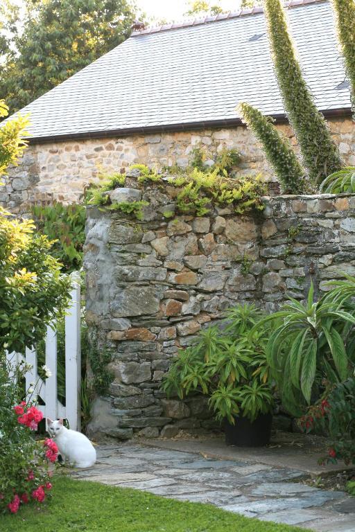 Le Manoir De La Fieffe Bed & Breakfast Cherbourg-en-Cotentin Exterior foto